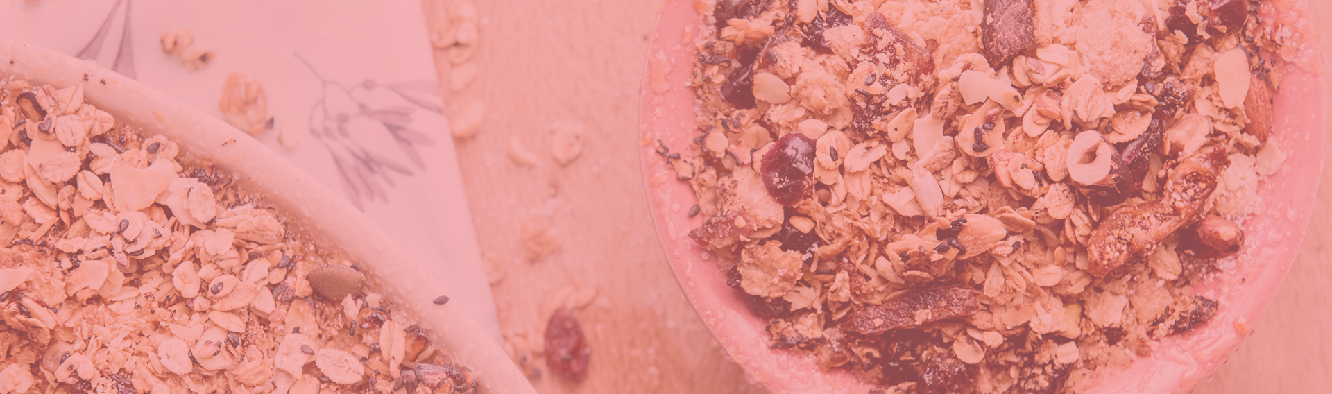 <strong>Profesionální web</strong> s důrazem na ekologii a udržitelnost