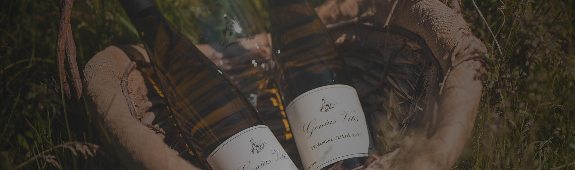 Vytvořili jsme <strong>nový e-shop pro vinařství Maňákovi</strong>